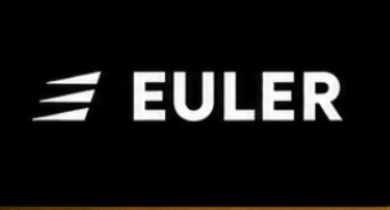 Euler logo